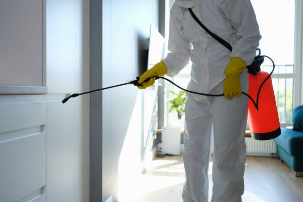 Reliable Orange, CA Mold Inspection, Removal & Remediation Solutions